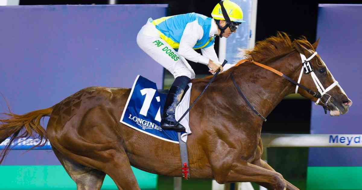 Кабирхан қатысатын Dubai world cup жарысы тікелей эфирде көрсетіледі