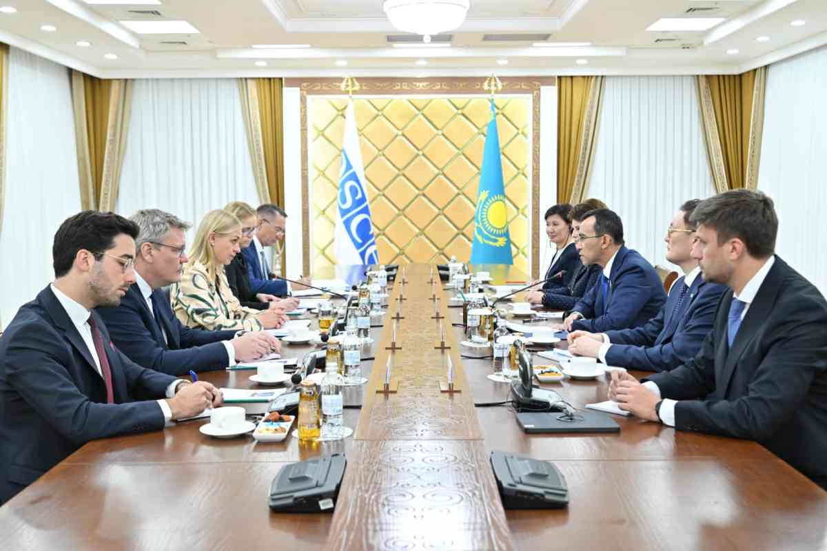Сенат Спикері ЕҚЫҰ Төрағасы – Финляндияның Сыртқы істер министрімен кездесті