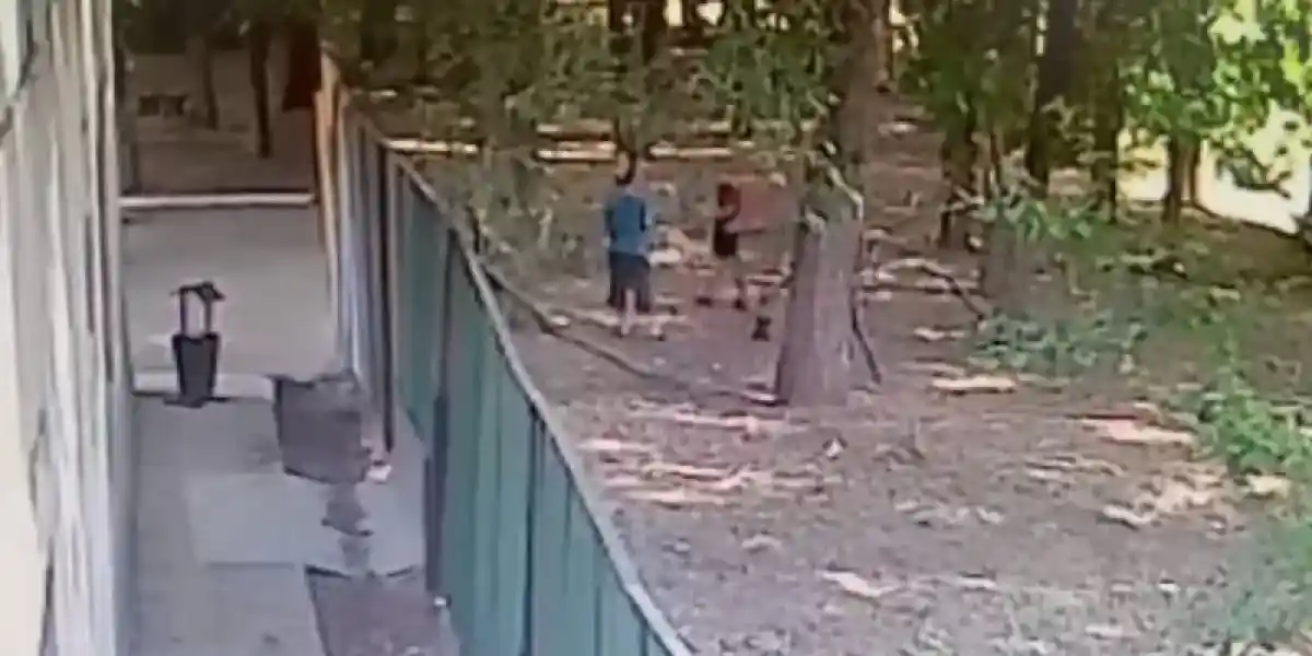 10 жастағы балаға иттер шабуыл жасаған кездегі видео жарияланды