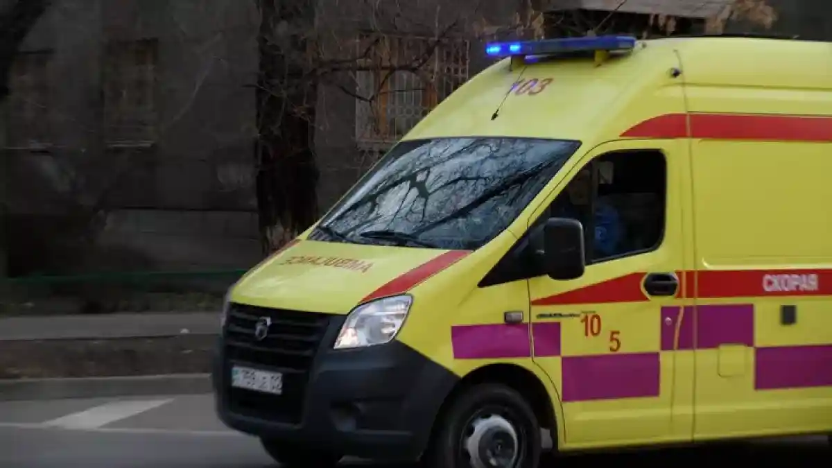 Түркістан облысында сібір жарасы фактісі тіркелді