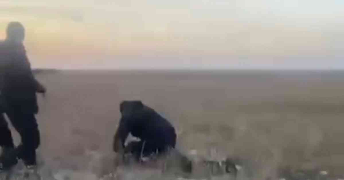 Ақмола облысында 14 жастағы қызды өлтірген күдікті ұсталды