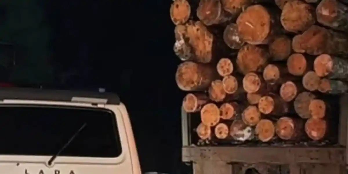 Куәліксіз жүк көлігін тізгіндеген