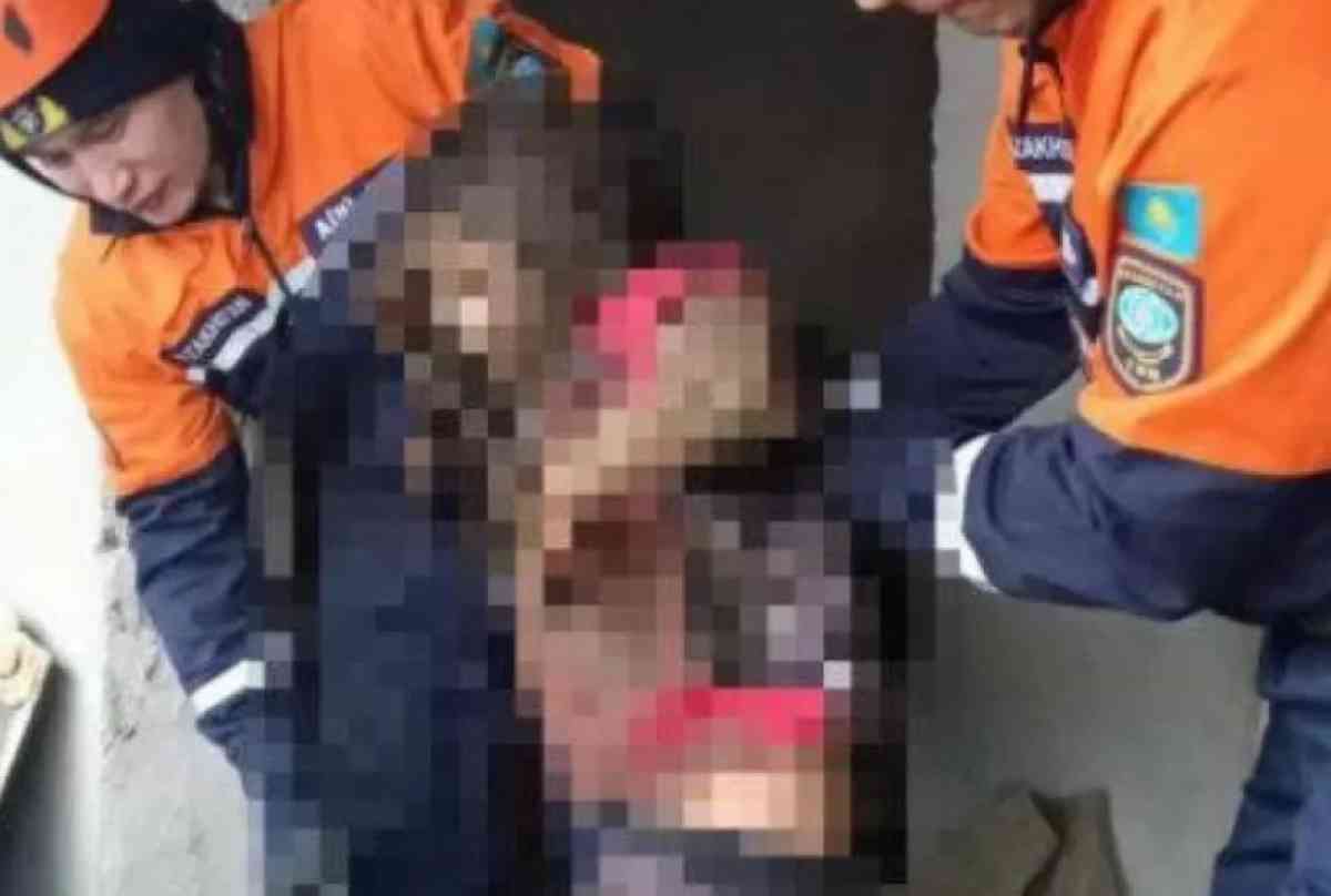 Жамбыл облысында 11 жастағы қыз бала көшедегі дәретханаға түсіп кетті