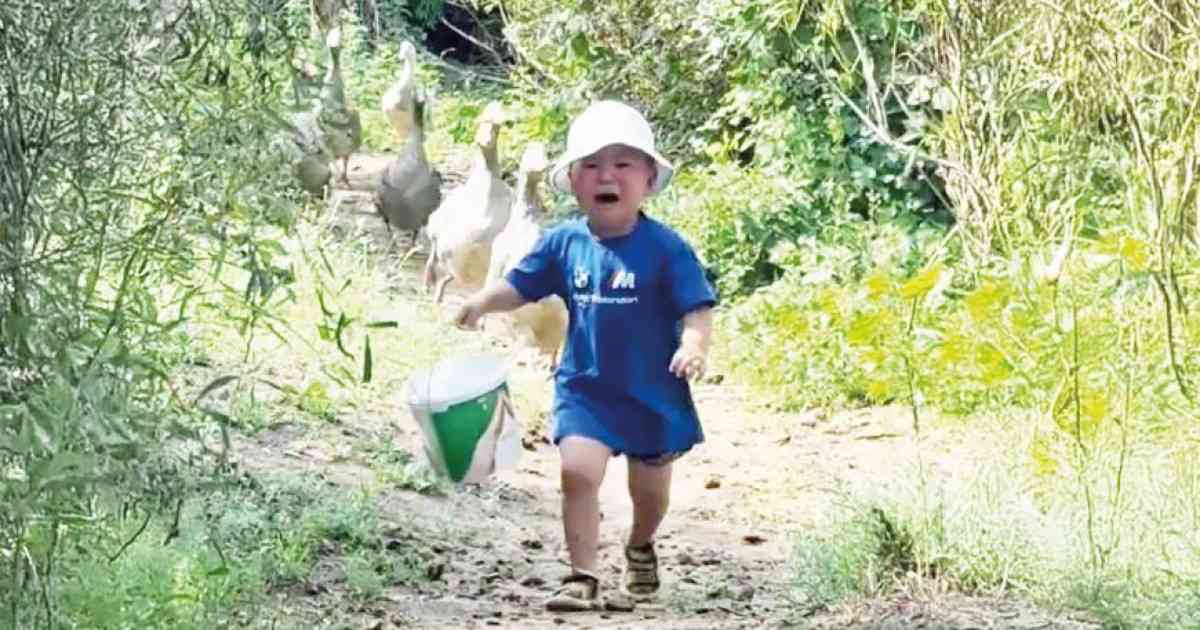 Желіде жұлдызға айналған