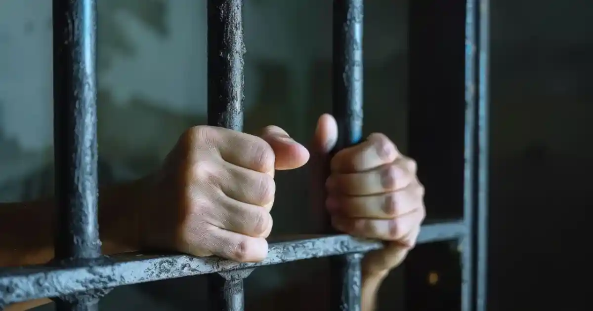 «Шығын 1,9 млрд теңге»: шекара арқылы елге заңсыз тауар кіргізгендер қамалды