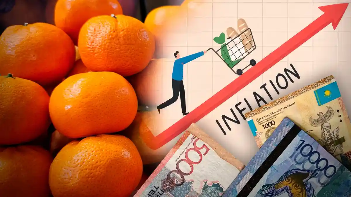 Экономика министрі инфляцияны қалай азайтатынын айтты