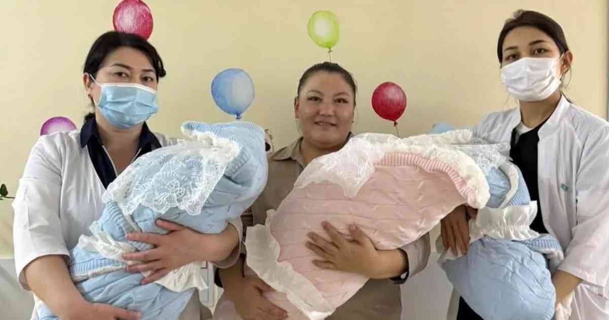 Шымкентте үшем дүниеге келді