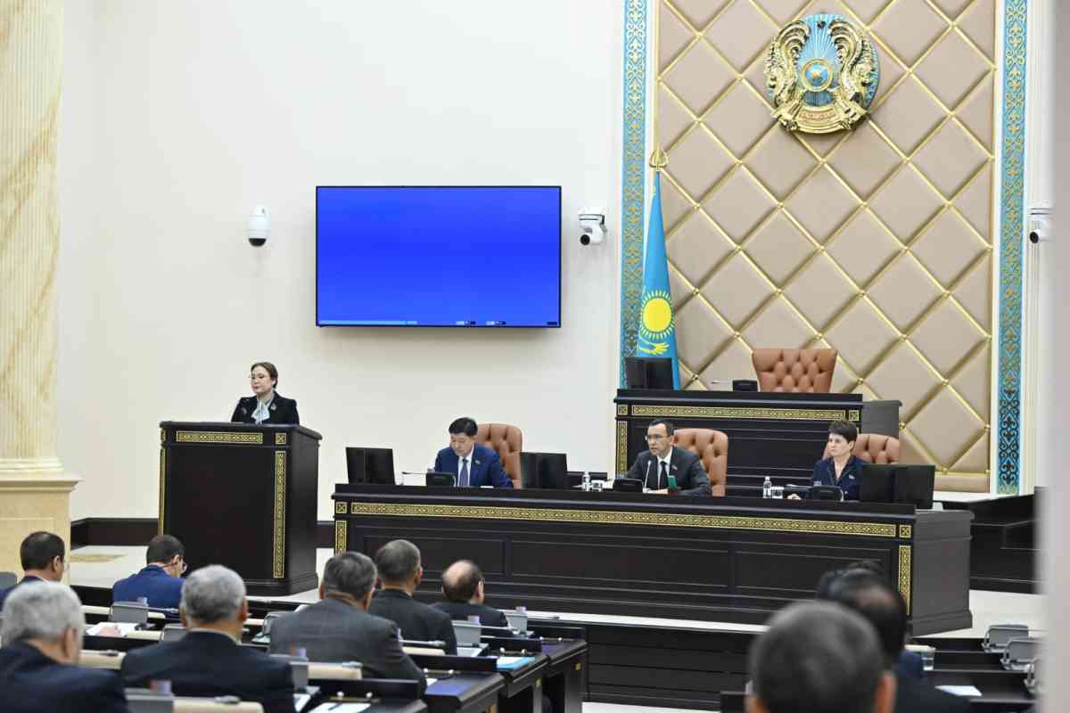 Сенат креативті индустрияларды қолдау және дамыту туралы заңды мақұлдады