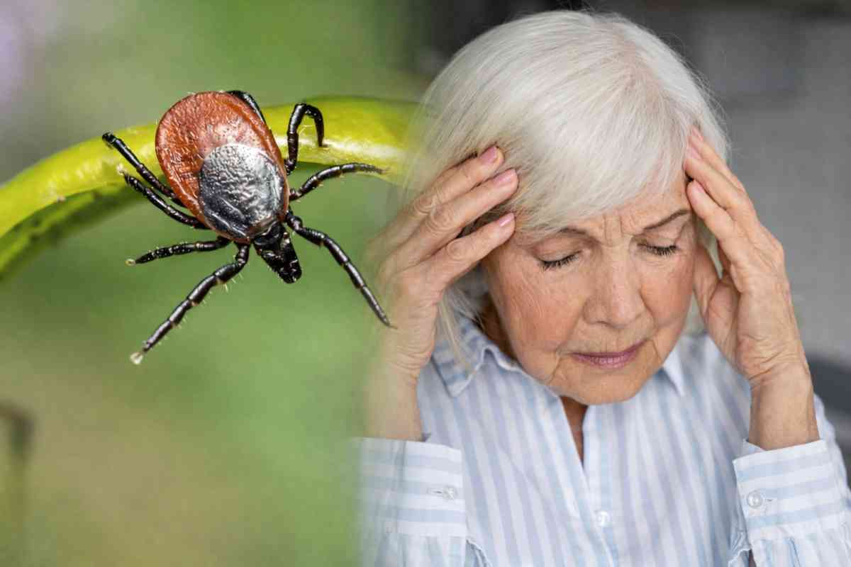 22 ақпан – Дүниежүзілік энцефалитке қарсы күрес күні