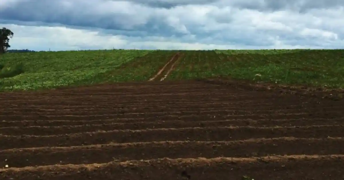 3 мың гектар жер мемлекет меншігіне қайтарылды