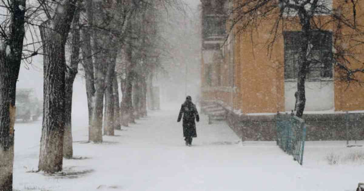 "Қар жауып, бұрқасын жүреді": 24 ақпанға арналған ауа райы болжамы жарияланды