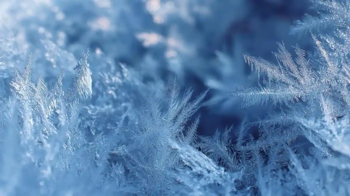 Бүгін қолайсыз ауа райына байланысты астаналық оқушылар онлайн оқыды