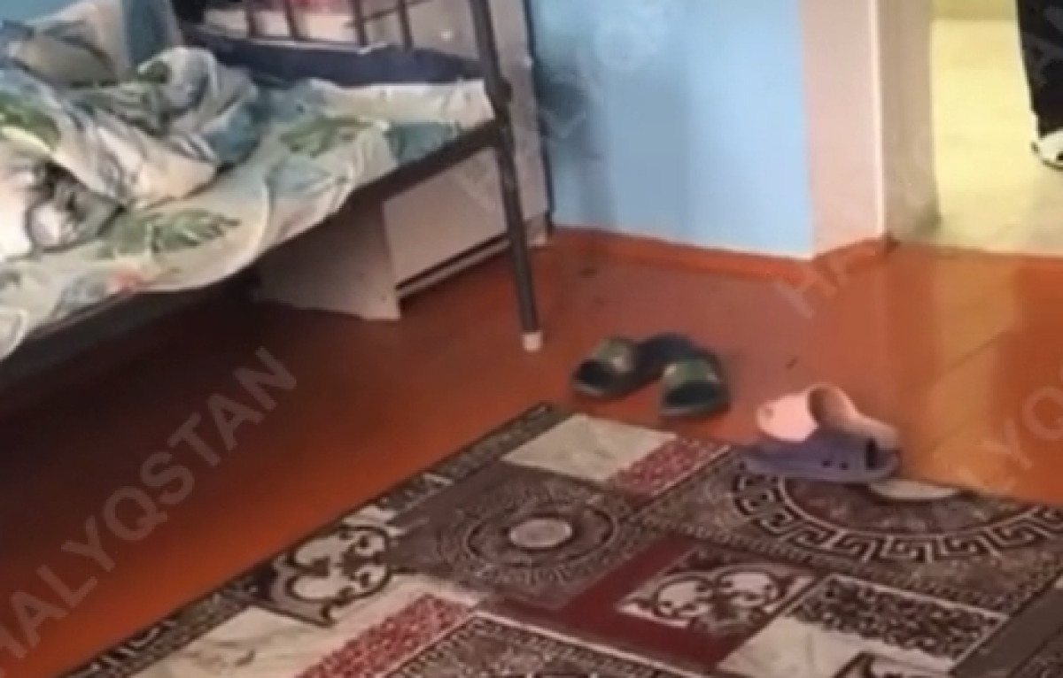 Түркістанда студент қыздарды жігіттердің бөлмесі мен дәретханасын жууға мәжбүрлеген бе?