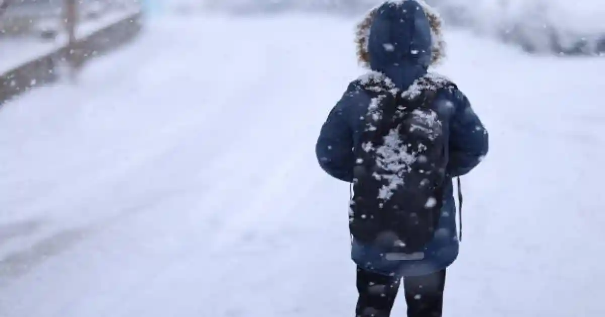 Елордада екінші ауысым оқушылары онлайн оқиды