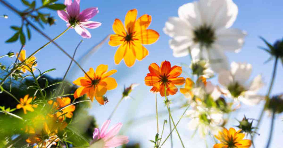 Президент қазақстандықтарды Алғыс айту кұнімен құттықтады