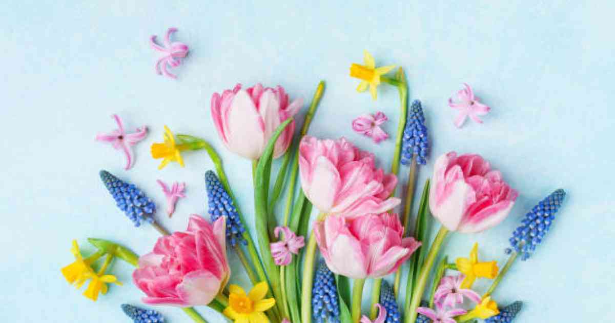 Қасым-Жомарт Тоқаев: Әйел –  көркемдік пен сұлулықтың символы