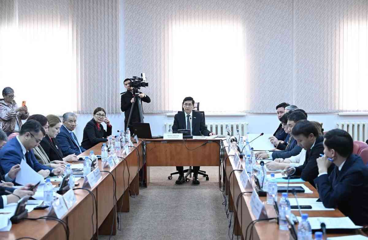 Мәжіліс депутаттары  есірткіге, алкогольге тәуелділікті және ойынқұмарлықты емдеу мәселелерін талқылады