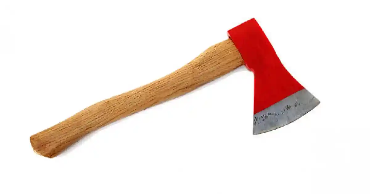 Алматыда оқушы мектепке балта алып келген