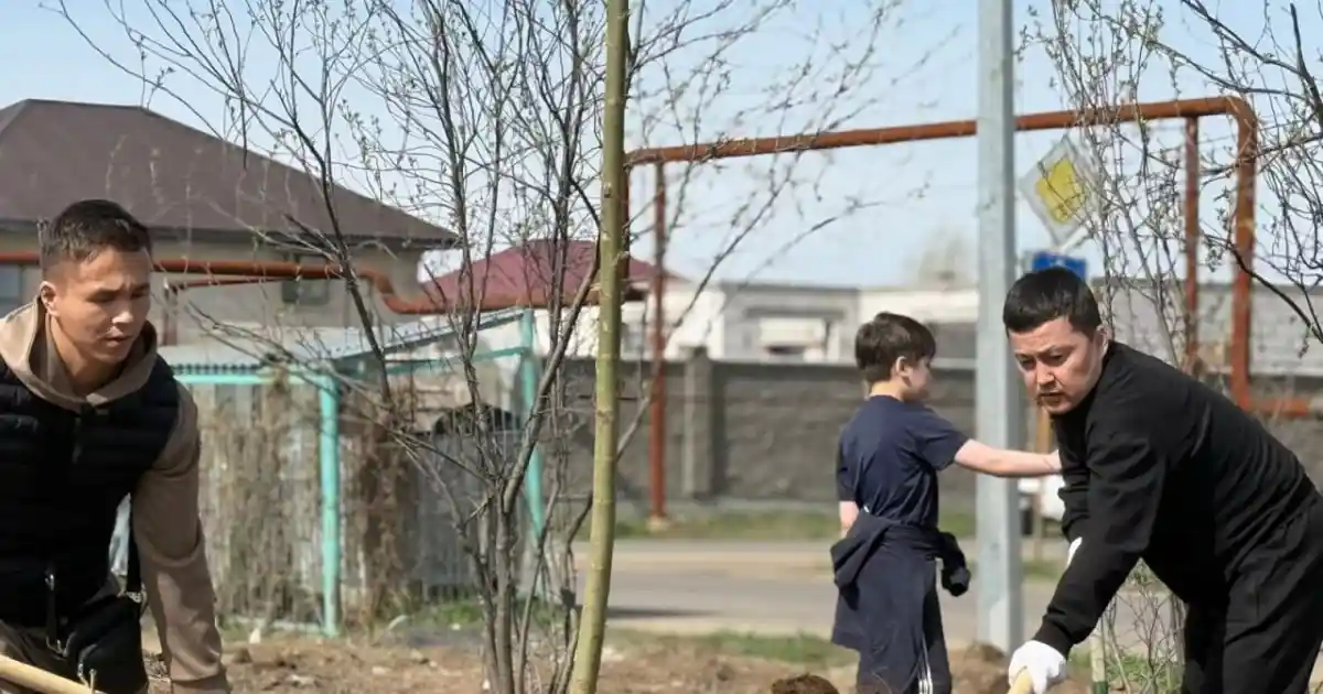 Ұландықтар "Таза Қазақстан" экологиялық акциясына қатысты