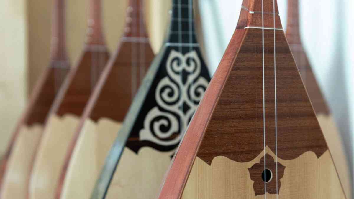 Домбыраны қарам деген азамат уақытша ұстау изоляторына қамалды