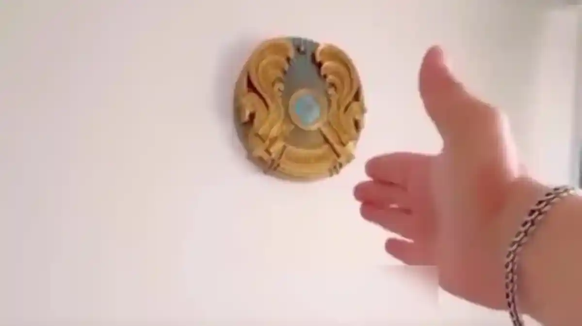 Елтаңбаны қоқыстан тауып алып, үйіне іліп қойған қазақстандық жазаланды (видео)(