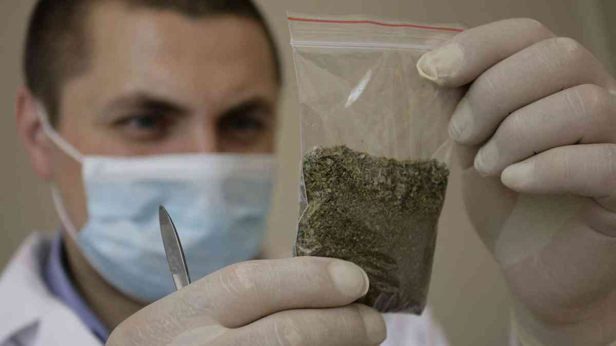 Есірткі қолданатын шенеуніктер әшкереленеді