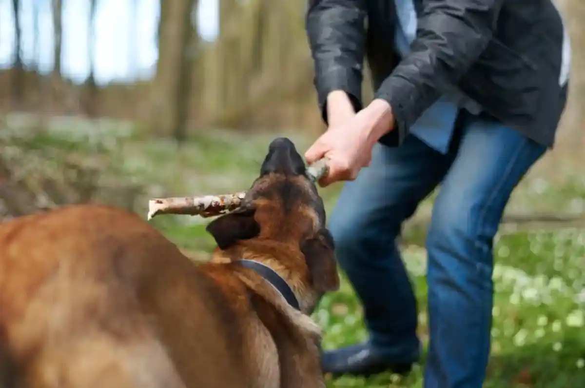 Макинскіде 7 жастағы оқушы ауруханаға түсті