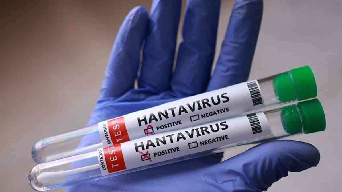 Қазақстанда хантавирус таралуы мүмкін бе: мамандар не дейді