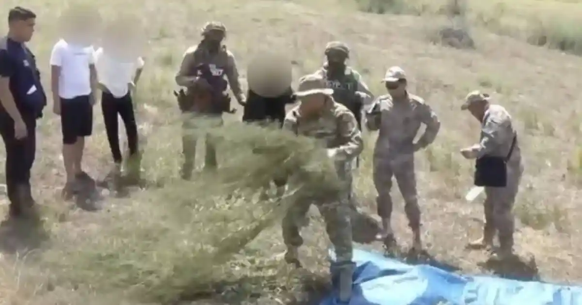 Жамбыл облысында 24 келіден астам марихуана тәркіленді