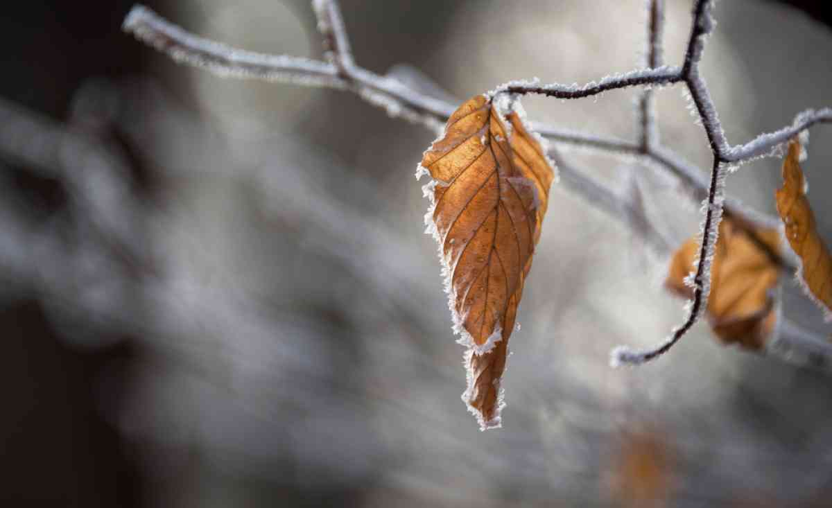 Қалың қар, боран және үсік: 23 қазанда ауа райы қандай болады?
